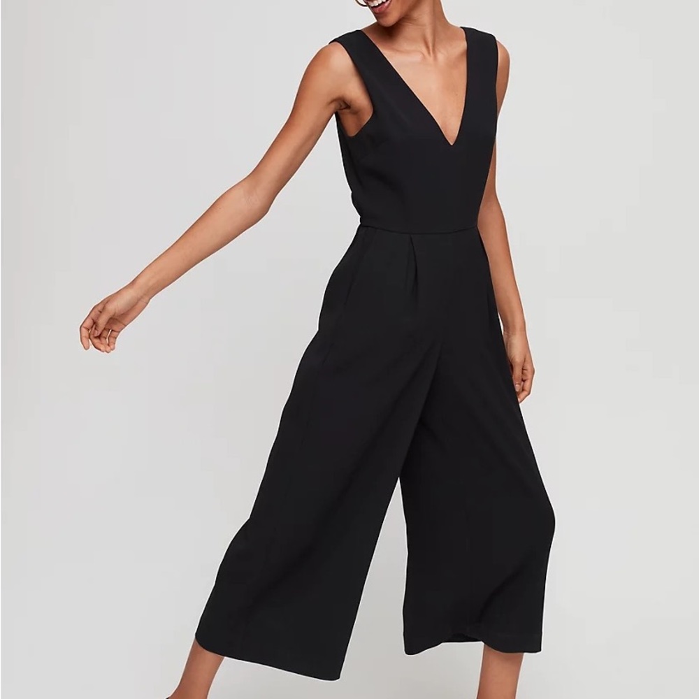 Aritzia Babaton Marcus jumpsuit